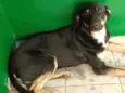 Lumena