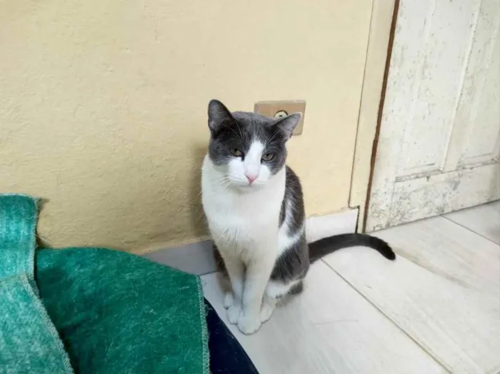 Fred lindo e fofinho