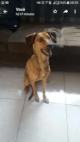 Tobi