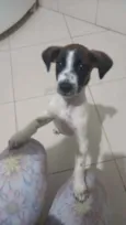 Não tem 