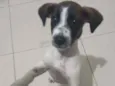 Não tem