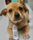 Marley 