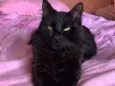 Neguinho 