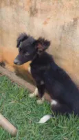 Não tem 