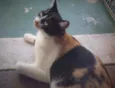 Dorothy