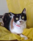Dorothy