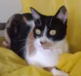 Dorothy