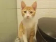 ,...................