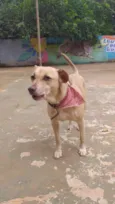 Mel 