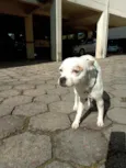 Desconhecido