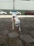Desconhecido