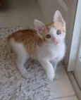 * MILK *