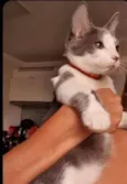 ...............