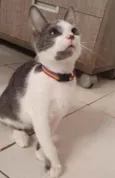 ...............