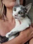 ...............