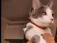 ...............