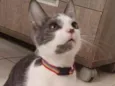...............