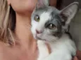 ...............