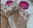 ..