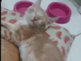 ..