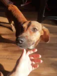 Lua e princesa