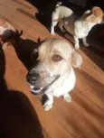 Lua e princesa