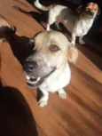 Lua e princesa