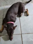 Nina