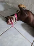 Nina