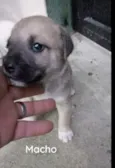 Não tem ainda