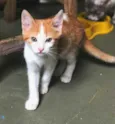 Pablo