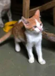 Pablo