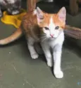 Pablo