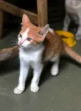 Pablo