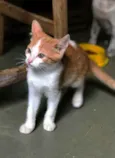 Pablo