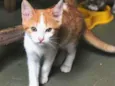 Pablo