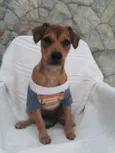 Mumuzinho