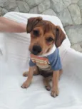 Mumuzinho