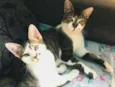 Sol e jimmy