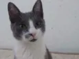 Tony