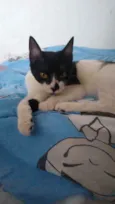 Nala