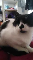 Nala