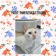 Paco