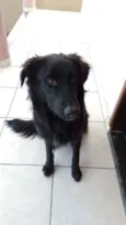 Sirius
