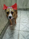 Quinha