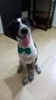 Marley