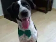 Marley