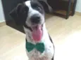 Marley