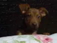 Maggie