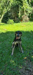 Lola